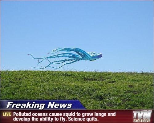 A squid flies above a grass field. A caption as from a news site below reads: 'Freaking News. Polluted oceans cause squid to grow lungs and develop the ability to fly. Science quits.'