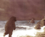 sad bear alone by the sea shore - image from "We're Going on a Bear Hunt"