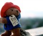 Plush Paddington Bear toy in trademark blue coat and red hat with label around his neck reading: Please look after this bear.
