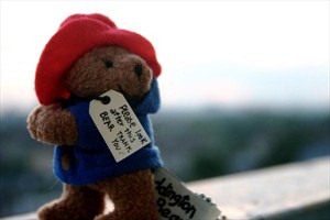 Plush Paddington Bear toy in trademark blue coat and red hat with label around his neck reading: Please look after this bear.