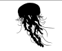 silhouette of flying squid/jellyfish type thing