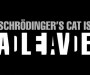 Black rectangle with white text reading: Schrödinger's cat is ALIVE with the word 'DEAD' spelled out in the black spaces between the letters of 'ALIVE'