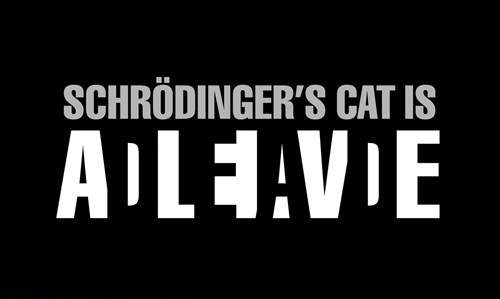 Black rectangle with white text reading: Schrödinger's cat is ALIVE with the word 'DEAD' spelled out in the black spaces between the letters of 'ALIVE'