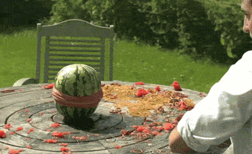 A watermelon sitting on a table with a number of heavy duty elastic bands wrapped around it. The top abruptly folds out and then the whole thing explodes. The evidence on the table suggests this is not the first time they've done this.