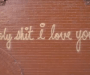 Brick wall on which someone has painted 'holy shit I love you'